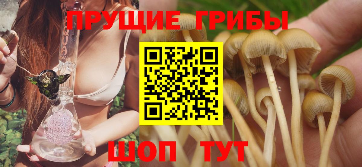Псилоцибиновые грибы ЛСД  Вход с VPN  Нижневартовск  Галлюциногенные грибы Cubensis 